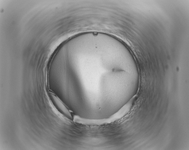 X0000087391515200705111748