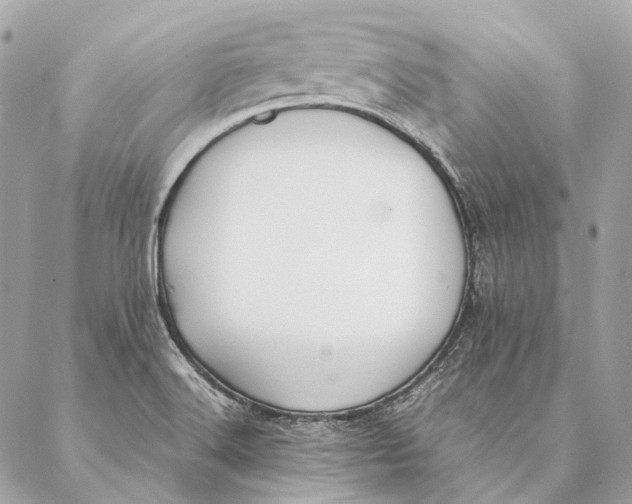 X0000087391516200705111748