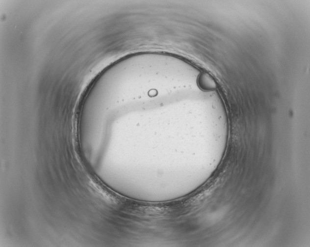 X0000087391517200705111748