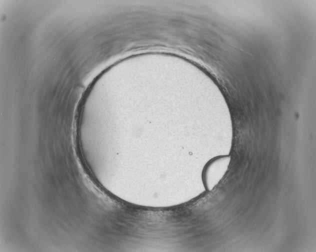 X0000087391518200705111748