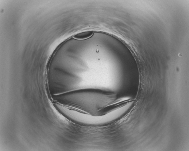 X0000087391519200705111748