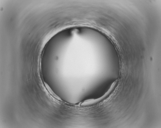 X0000087391520200705111748