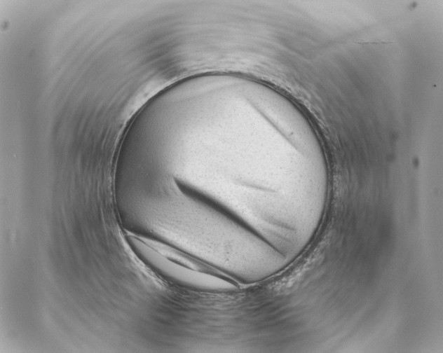 X0000087391521200705111748