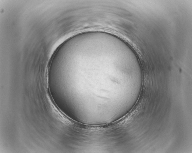 X0000087391522200705111748