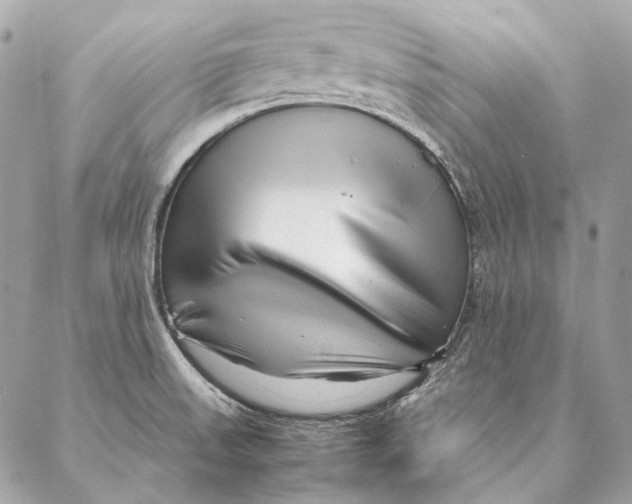 X0000087391523200705111748