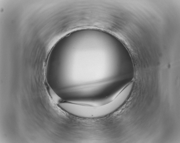 X0000087391524200705111748