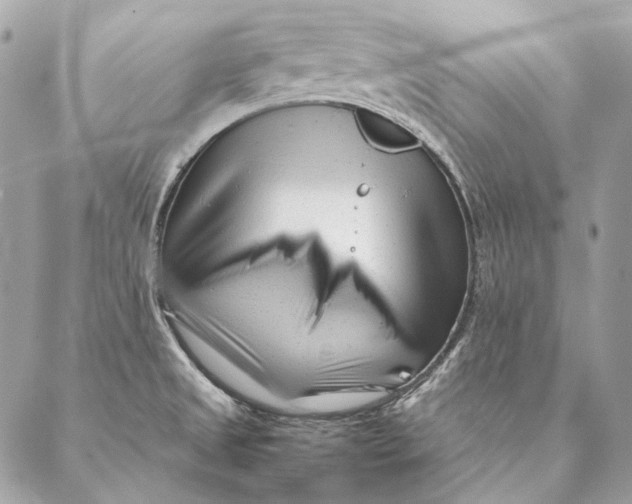 X0000087391525200705111748