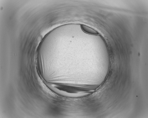 X0000087391526200705111748