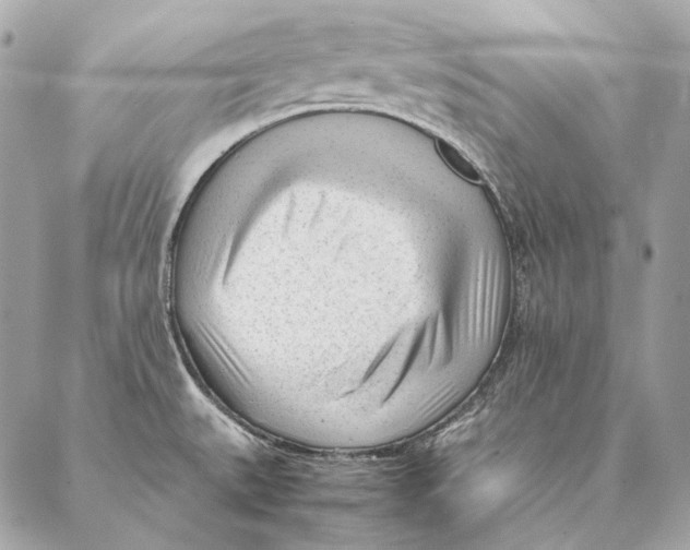 X0000087391527200705111748