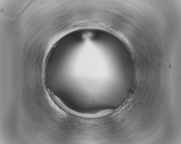 X0000087391528200705111748