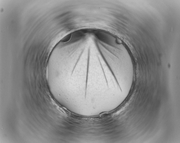 X0000087391529200705111748