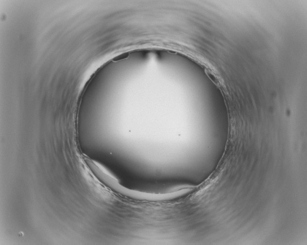 X0000087391530200705111748