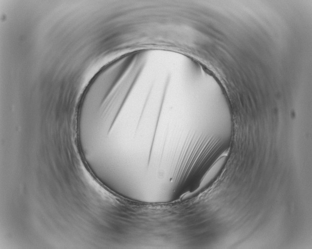 X0000087391531200705111748