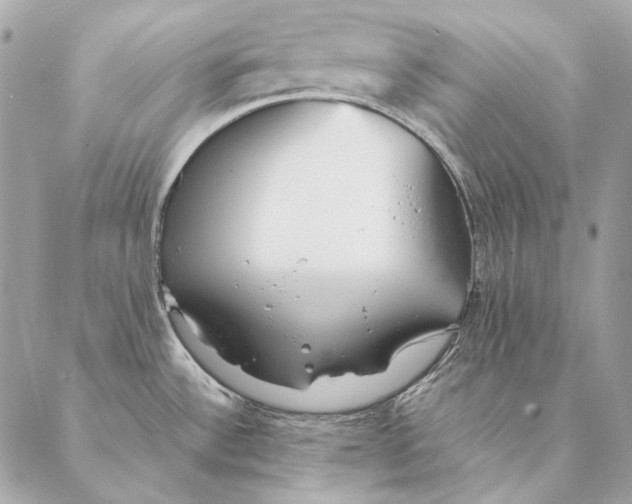 X0000087391532200705111748