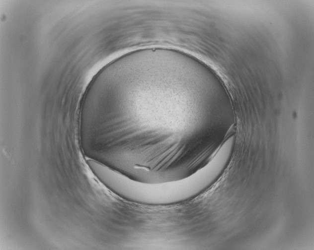 X0000087391534200705111748