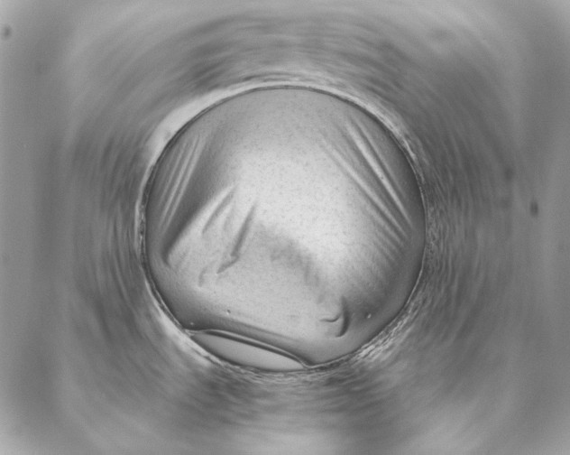 X0000087391535200705111748