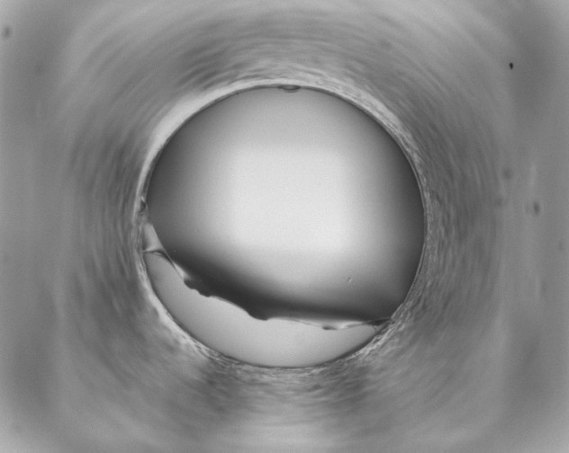 X0000087391536200705111748