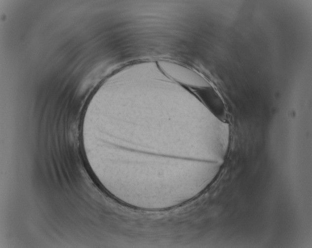 X0000087390002200705181319