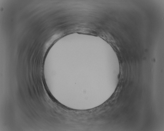 X0000087390003200705181319