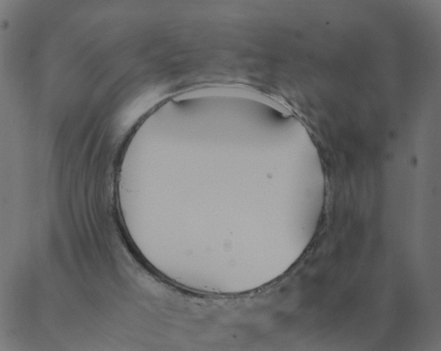 X0000087390005200705181319