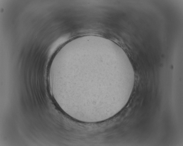 X0000087390006200705181319