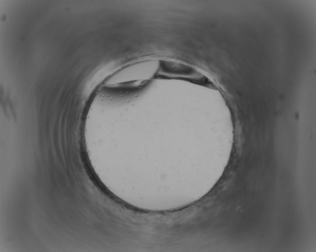 X0000087390007200705181319