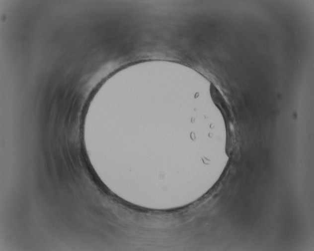 X0000087390008200705181319