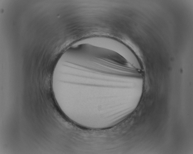 X0000087390009200705181319