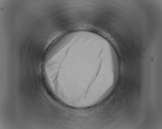 X0000087390010200705181319