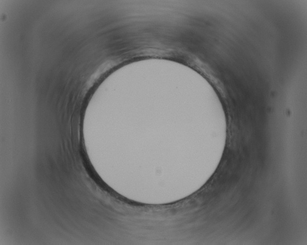 X0000087390011200705181319