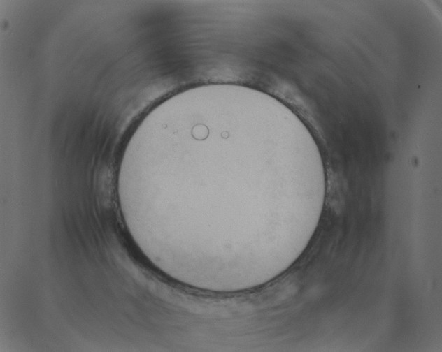 X0000087390012200705181319