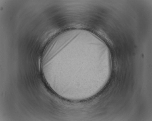 X0000087390014200705181319