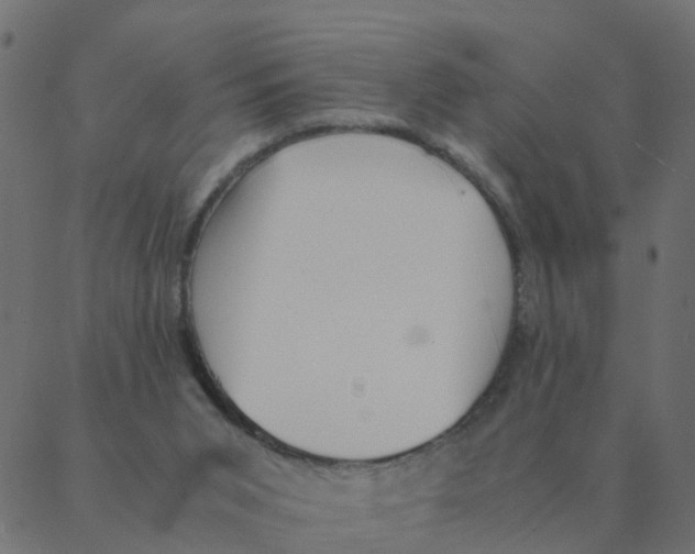 X0000087390015200705181319