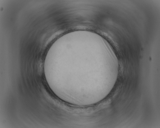 X0000087390016200705181319