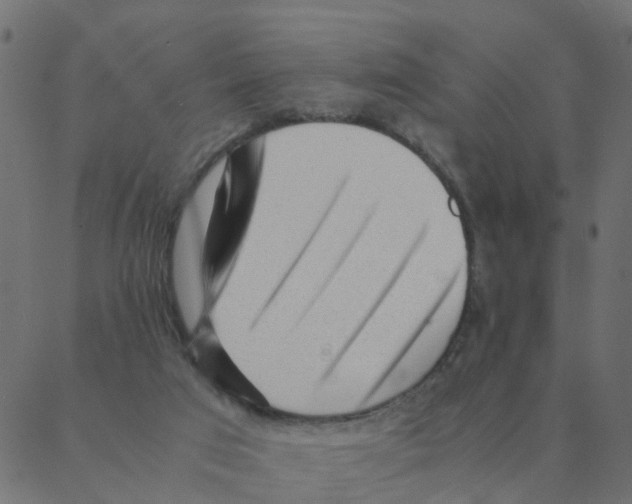 X0000087390017200705181319