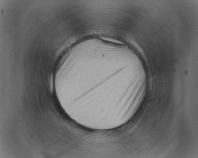 X0000087390020200705181318