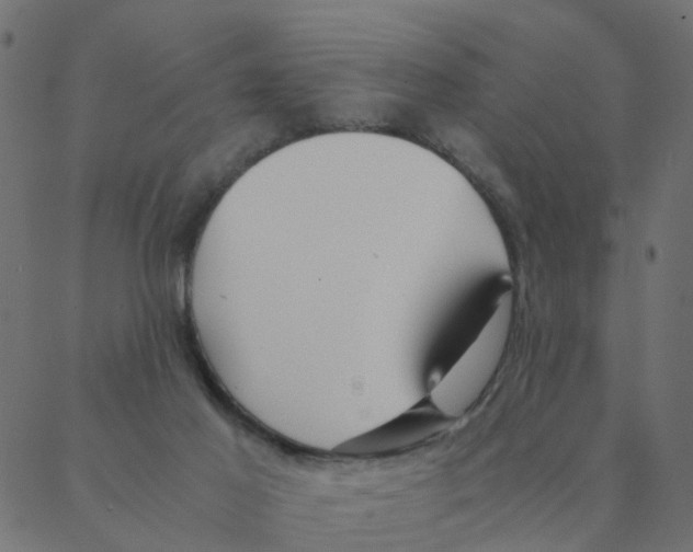 X0000087390021200705181318