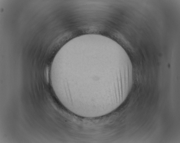 X0000087390022200705181318