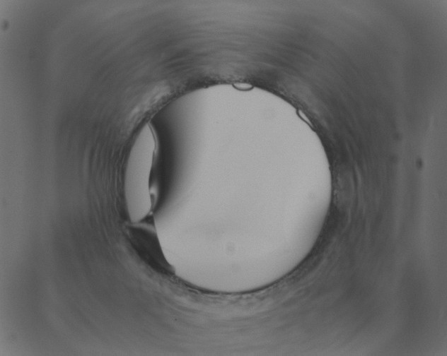 X0000087390023200705181318