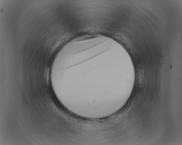 X0000087390024200705181318