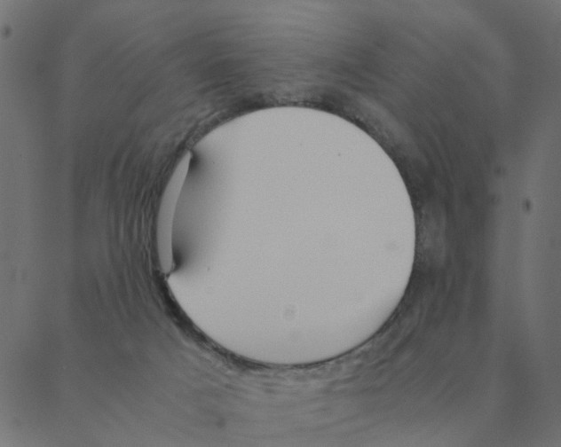 X0000087390025200705181318