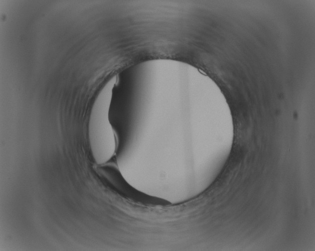 X0000087390027200705181318