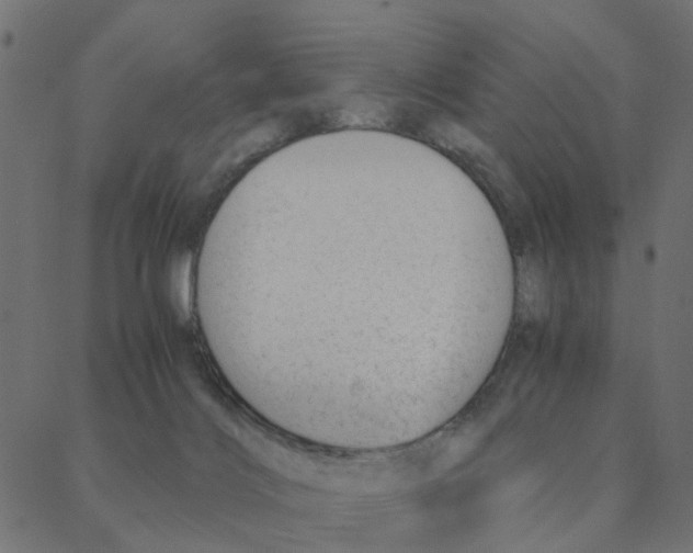 X0000087390028200705181318