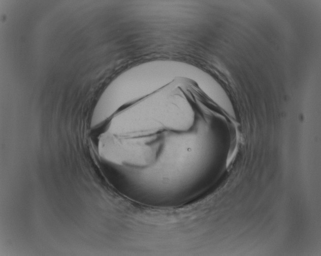 X0000087390029200705181318