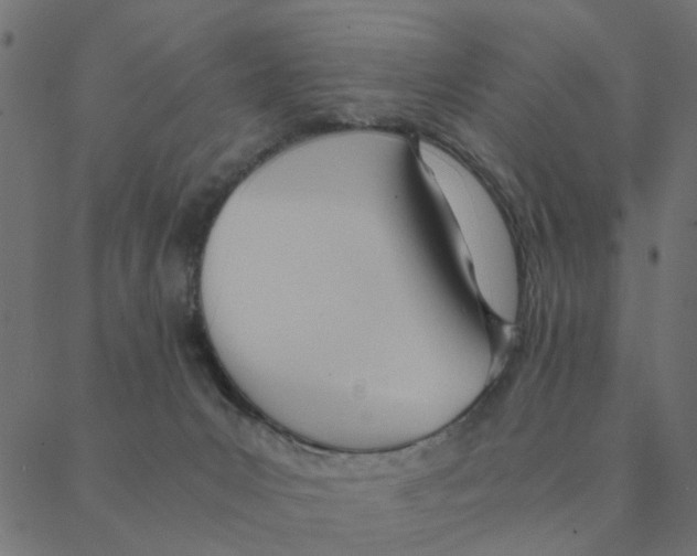 X0000087390031200705181318