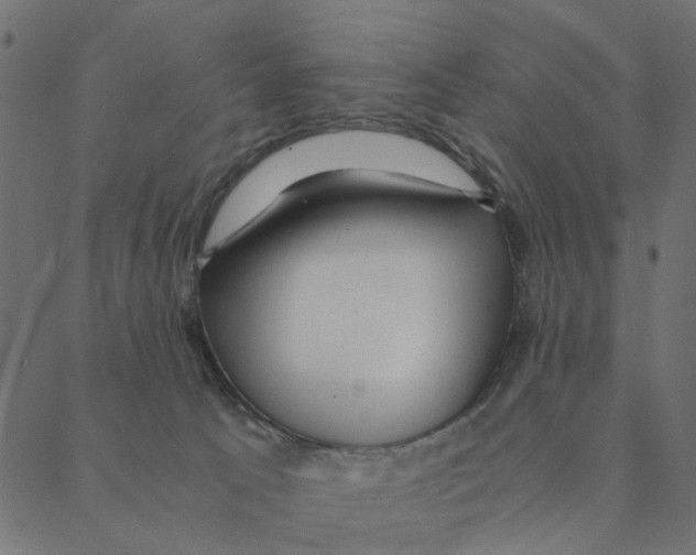 X0000087390033200705181318