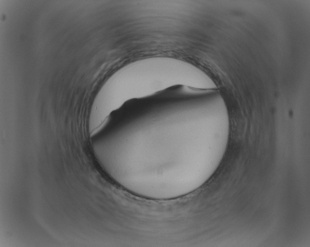 X0000087390035200705181318