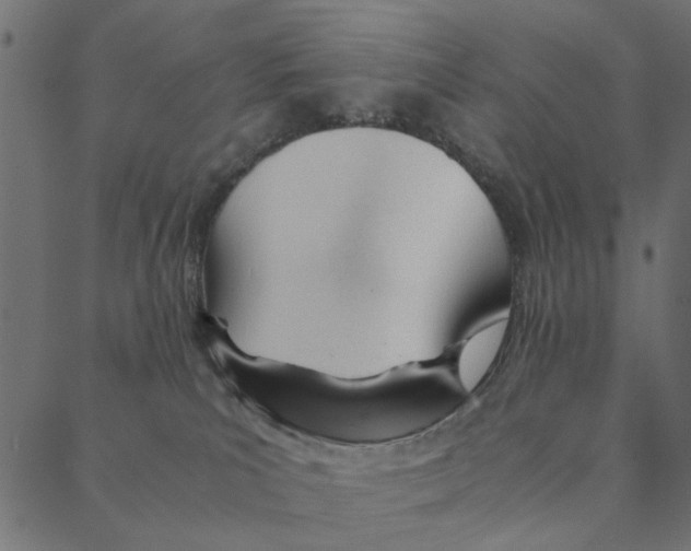 X0000087390039200705181318