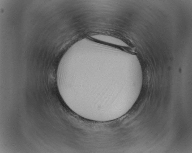 X0000087390040200705181318