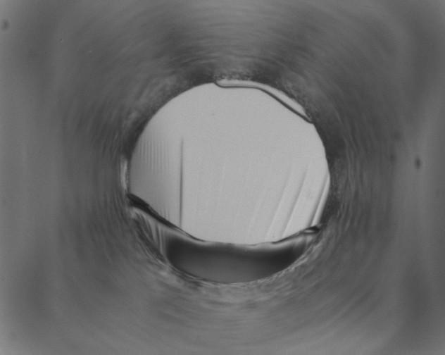 X0000087390041200705181318